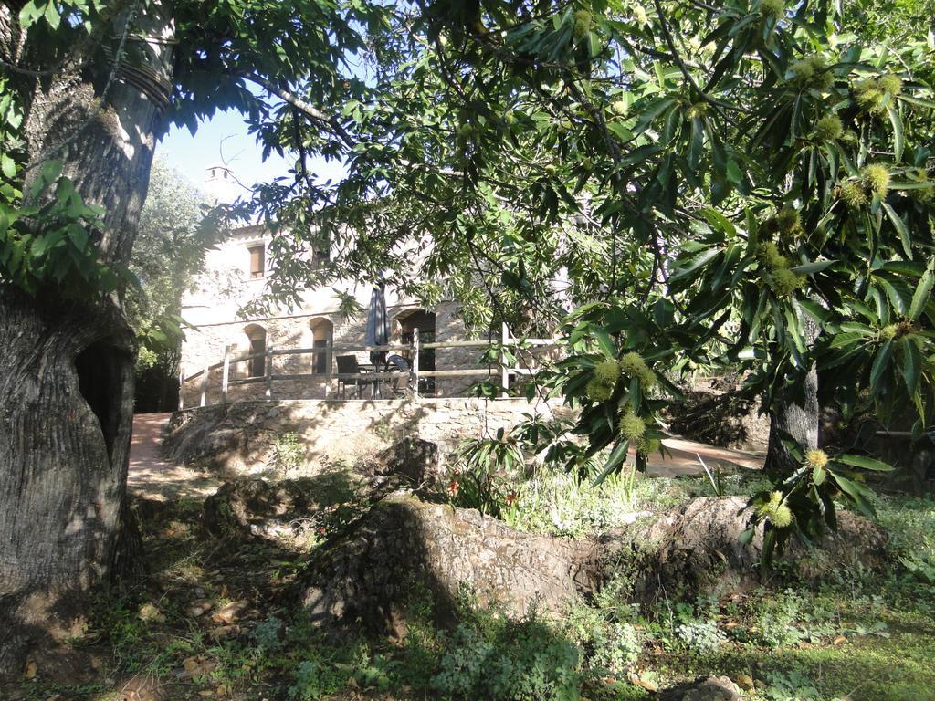Finca La Colora Fuenteheridos Dış mekan fotoğraf